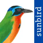 All Birds Trinidad and Tobago App Alternatives