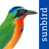 All Birds Trinidad and Tobago logo