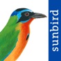 All Birds Trinidad and Tobago app download