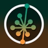 Golden Rule Tattoo icon