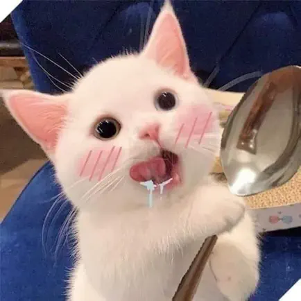 Đảo Mèo Kute Cheats