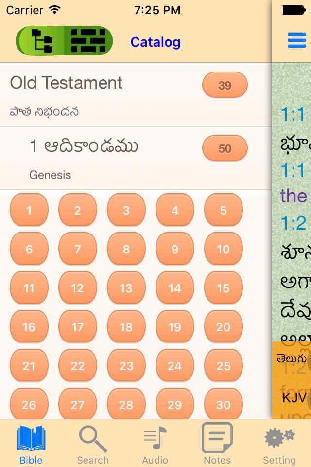 Telugu English Audio Bible screenshot 2
