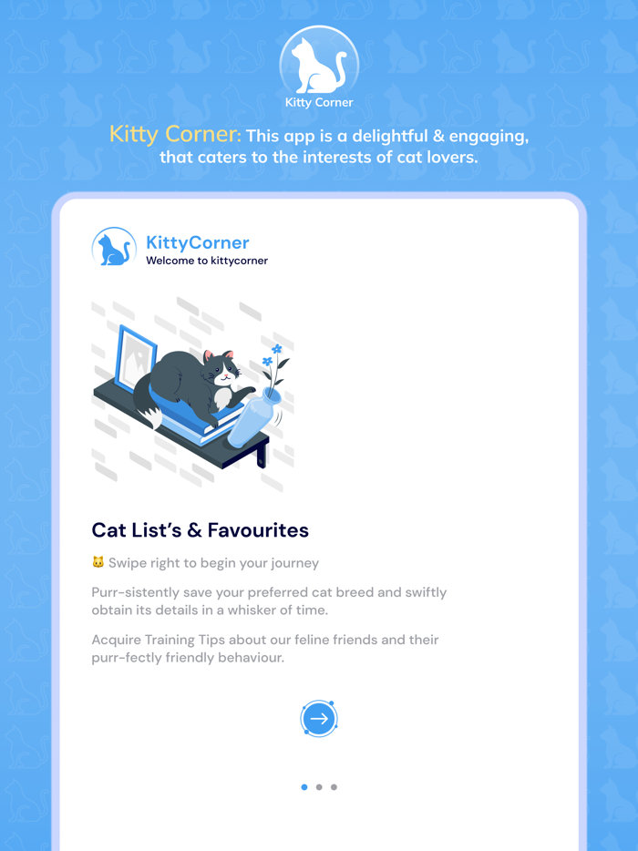 KittyCorner Facts and Info