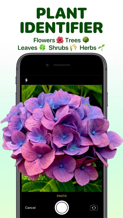 Plant Identifier Aрр Screenshot