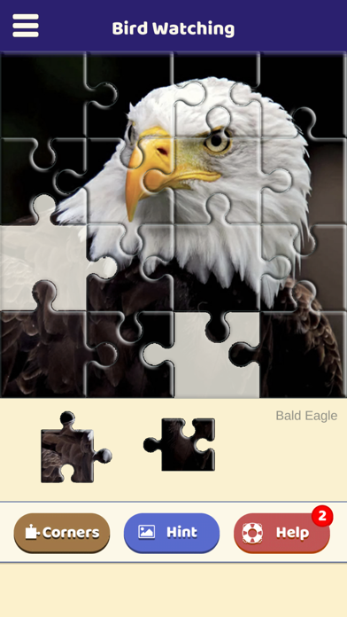 Bird Watching Puzzle Screenshot