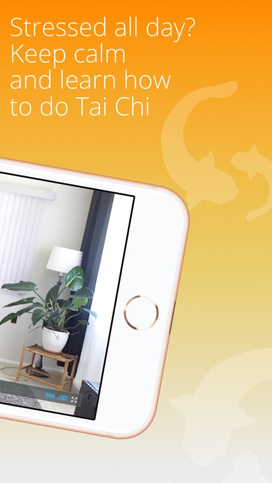 Tai Chi Beginners Seniors app Screenshot