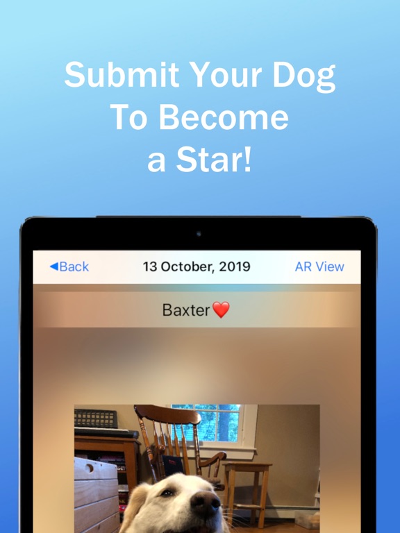 Dog of the Day iPad screenshot 3 - Entertainment app