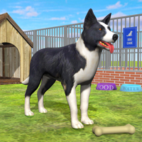 Pet Dog Shelter Cleaning Games