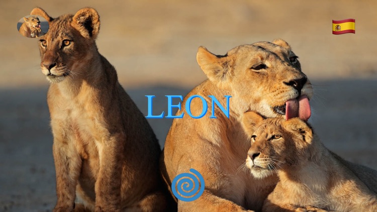 Animal Pad Sounds screenshot-9