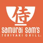 Samurai Sam's App Positive Reviews