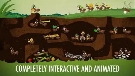 The Bugs I: Insects?