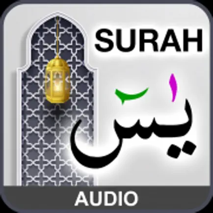 Surah Yaseen with Sound Читы