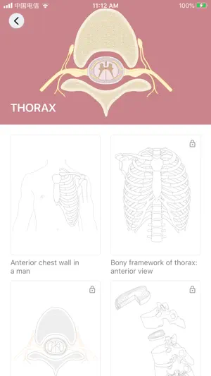 Body coloring book screenshot 2