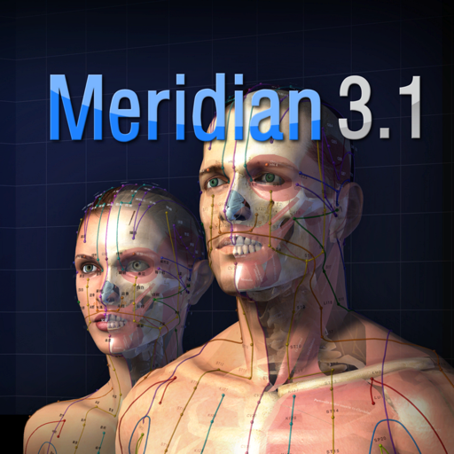 Meridian 3.1