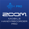Handy Recorder PRO-ZOOM Corporation