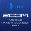 Handy Recorder PRO delete, cancel