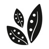 SW Seguros icon