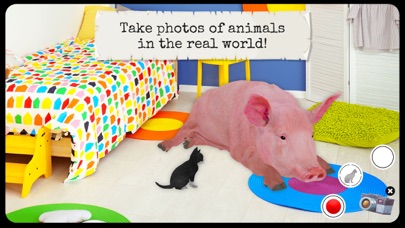 Farm Animal - 4D Kid Explorer Screenshot