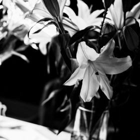 Screenshots (6) HighC high constract B&W