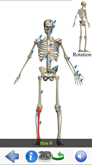 Captura de pantalla de Visual Anatomy Lite en iPhone 8