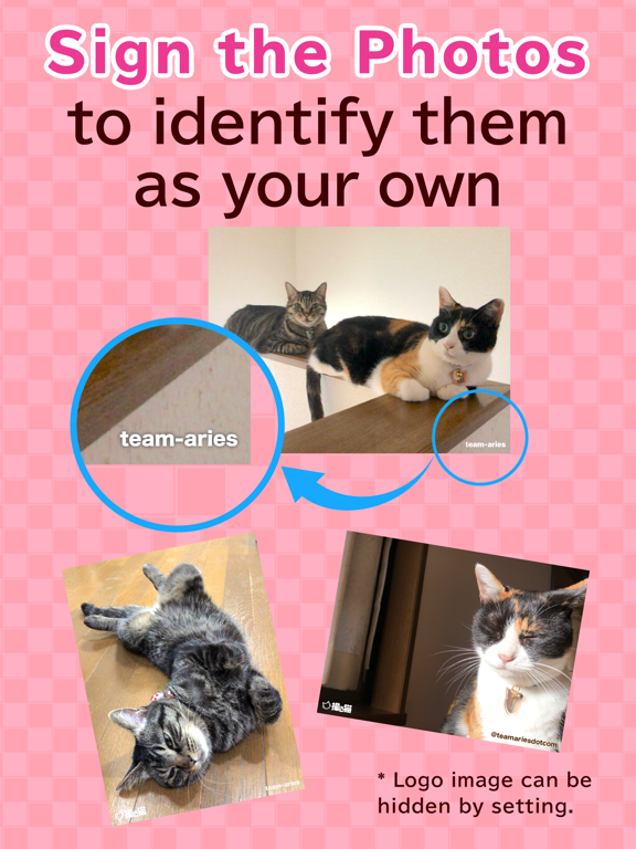 toruneko (KittyCam) iPad screenshot 7 - Photo & Video app