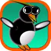 OC Penguin App Feedback