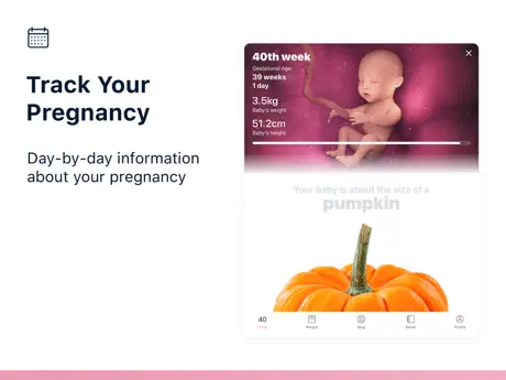 Stork — Pregnancy Tracker App