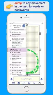 testpro us dressage federation problems & solutions and troubleshooting guide - 3