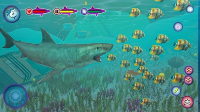 Megalodon Shark Fish Attack Screenshot