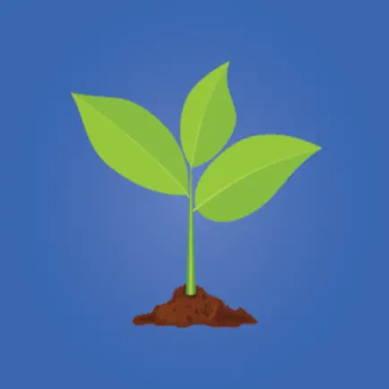 Playable Campus Cheats