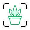 Icon Plant ID - Identify Plants