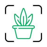 Plant ID ne fonctionne pas? problème ou bug?