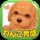 てのひらワンコ 【スマホでわんこ育成】