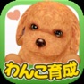 Get てのひらワンコ 【スマホでわんこ育成】 for iOS, iPhone, iPad Aso Report