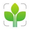 Leaf Identification Plant ID icon