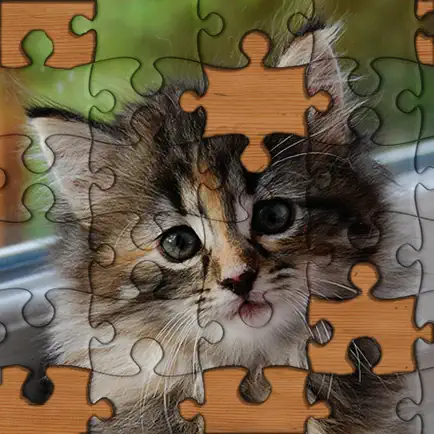 Jigsaw Puzzles! Cheats