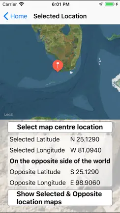 World Flip iPhone image 3