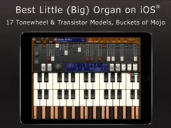 Galileo Organ 2 iPad image 1