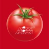 Pizza Flitza icon