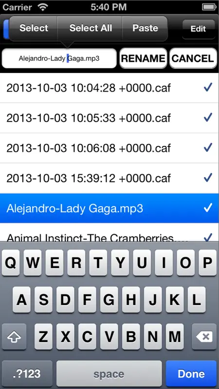 tapeRecorder screenshot 5 of 5