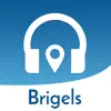 Brigels Audio Tour delete, cancel