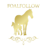 Tone Liaboe - FoalFollow English artwork