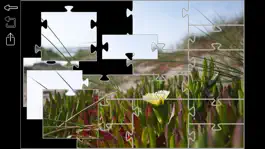 Game screenshot You.Puzzle apk