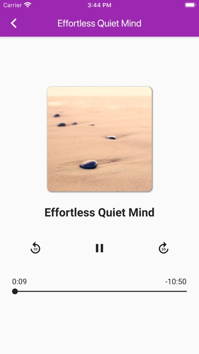 ROV Meditation Screenshot
