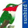 All Birds Colombia field guide App Delete