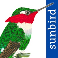 All Birds Colombia field guide logo