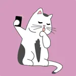 Cat Snaps App Problems