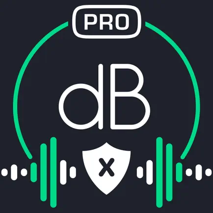 Decibel X PRO - дБА Шумомер Читы