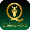 Grupo Empresarial Quirquincho icon
