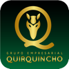 Grupo Empresarial Quirquincho - Transclick Solutions
